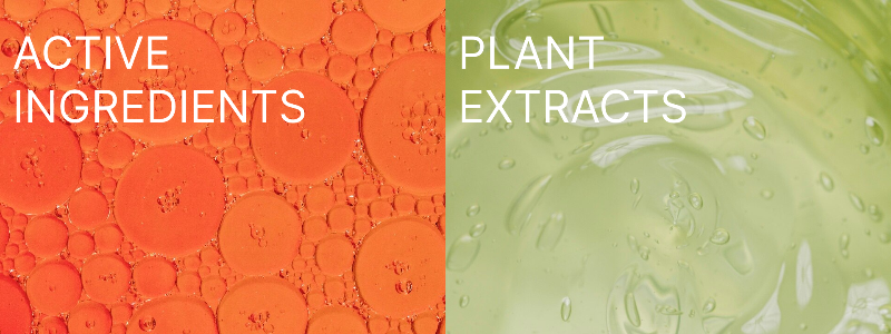 active-ingredients-plant-extracts